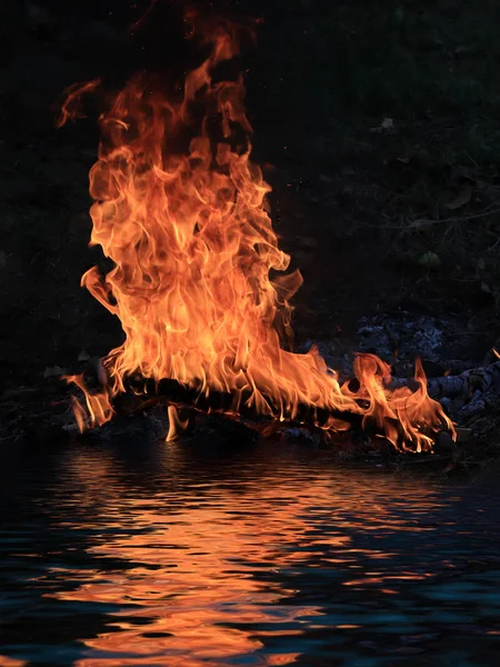Языки Яркое Пламя Угля Лесном Пожаре Берегу Водохранилища — стоковое фото