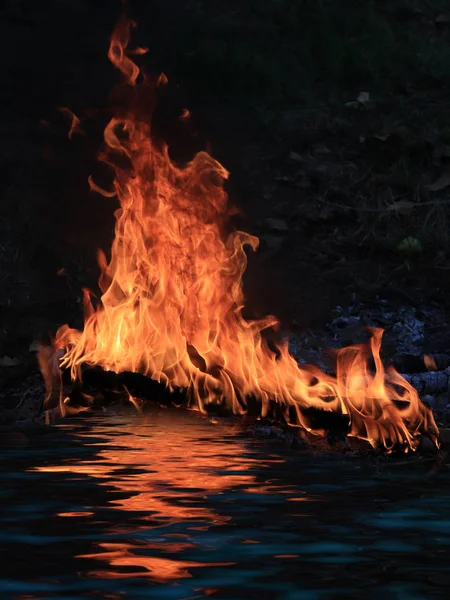 Langues Charbon Flamme Vive Dans Feu Forêt Sur Rivage Réservoir — Photo