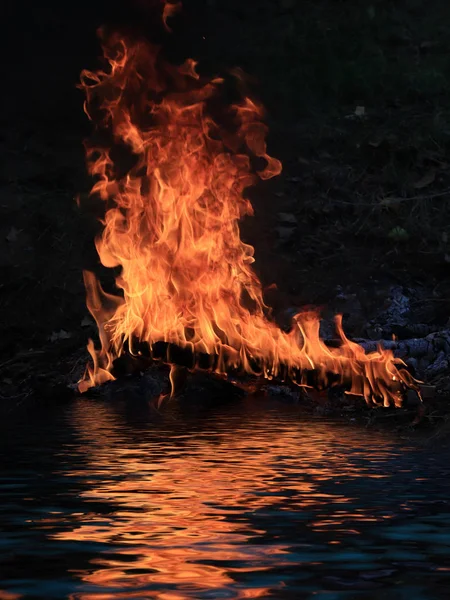 Lenguas Carbón Llama Brillante Incendio Forestal Orilla Del Embalse — Foto de Stock