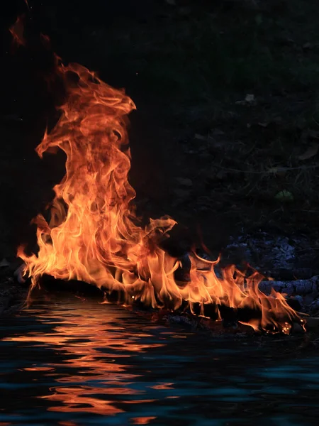 Tongues Bright Flame Coal Forest Fire Shore Reservoir — Stock Photo, Image