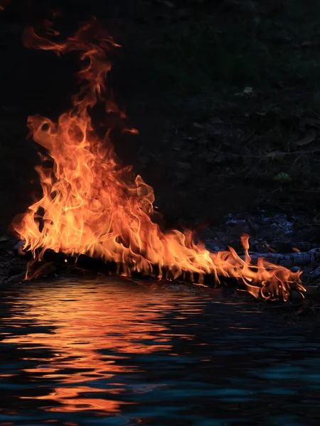 Tungor Ljusa Flamma Kol Skogsbrand Stranden Reservoaren — Stockfoto