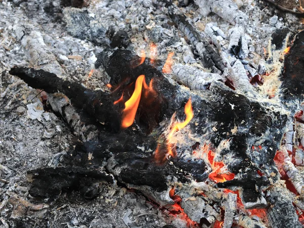 Charbon Rouge Chaud Provenant Combustion Des Déchets Forestiers Dans Jardin — Photo