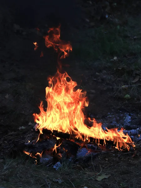 Heldere Vlammen Steenkool Een Bosbrand — Stockfoto