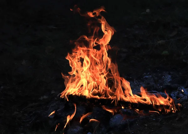 Chamas Brilhantes Carvão Incêndio Florestal — Fotografia de Stock