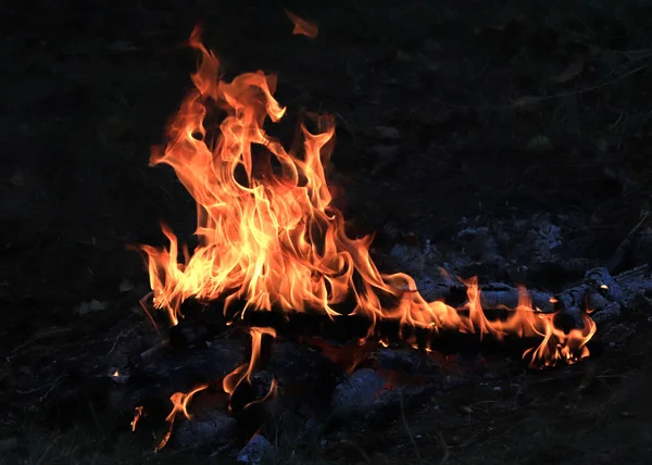 Heldere Vlammen Steenkool Een Bosbrand — Stockfoto