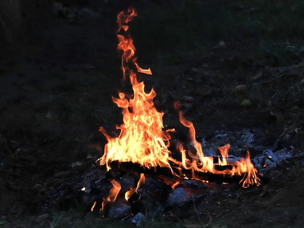 Heldere Vlammen Steenkool Een Bosbrand — Stockfoto