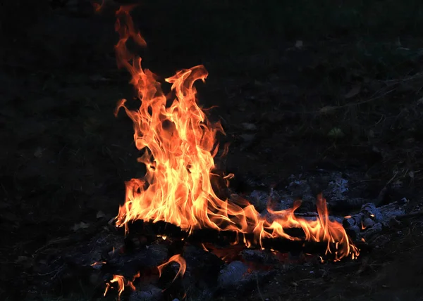 Chamas Brilhantes Carvão Incêndio Florestal — Fotografia de Stock