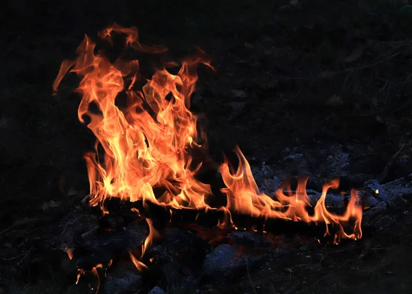 Llamas Brillantes Carbón Incendio Forestal —  Fotos de Stock