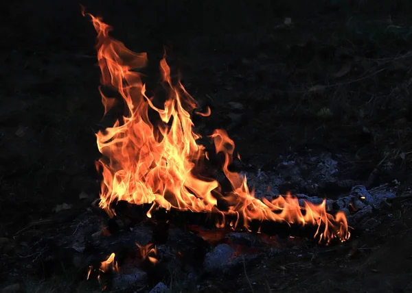 Chamas Brilhantes Carvão Incêndio Florestal — Fotografia de Stock