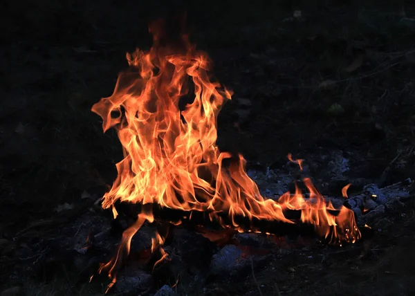 明るい炎や林野火災における石炭 — ストック写真