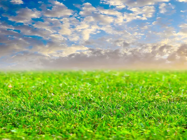 Beautiful Green Grass Lawn Sunny Sky — Stock Photo, Image