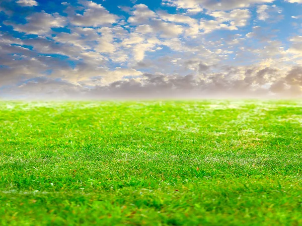 Beautiful Green Grass Lawn Sunny Sky — Stock Photo, Image