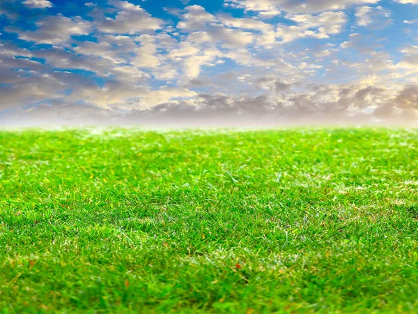 Beautiful Green Grass Lawn Sunny Sky — Stock Photo, Image