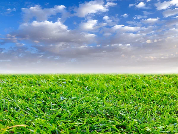 Beautiful Green Grass Lawn Sunny Sky — Stock Photo, Image