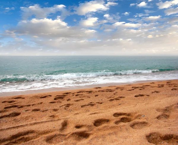 güzel kumlu Mediterranean beach ve yaz gökyüzü