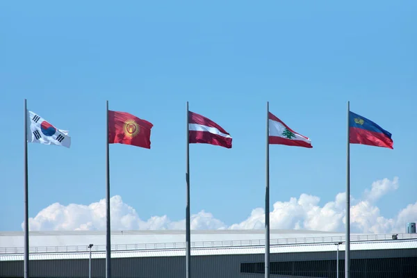 Banderas Estatales Nacionales Colocadas Asta Bandera Sobre Fondo Del Cielo —  Fotos de Stock