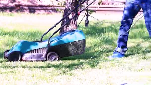 Recortar Hierba Verde Césped Exuberante Jardín Con Una Segadora Eléctrica — Vídeos de Stock