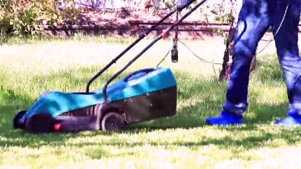用电动割草机修剪郁郁葱葱的花园草坪上的绿草 — 图库视频影像