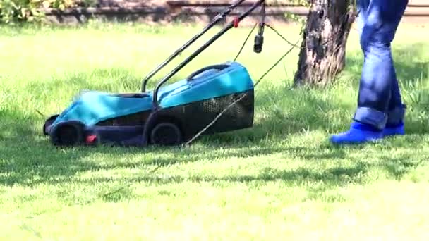 用电动割草机修剪郁郁葱葱的花园草坪上的绿草 — 图库视频影像