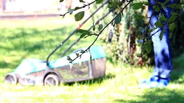 Обрезка Зеленой Травы Пышного Садового Газона Электрической Косилкой — стоковое видео