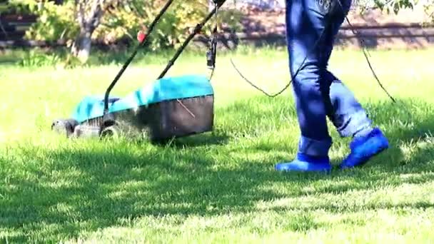 Trimmen Des Grünen Rasens Eines Üppigen Gartenrasens Mit Einem Elektromäher — Stockvideo