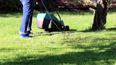 yemyeşil bir bahçe çim yeşil çim ile bir elektrik biçme kesme
