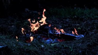 köz ve orman yangını alevler yanan