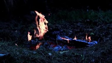 köz ve orman yangını alevler yanan