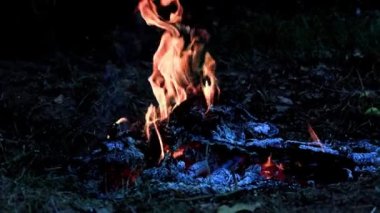 köz ve orman yangını alevler yanan