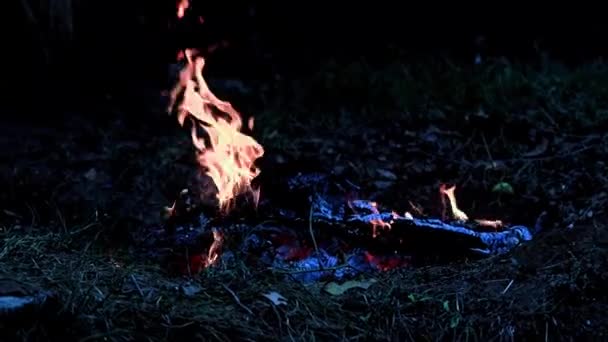 Glutnester Und Flammen Eines Waldbrandes — Stockvideo