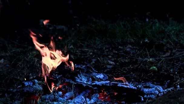 燃烧的余火和森林大火的火焰 — 图库视频影像