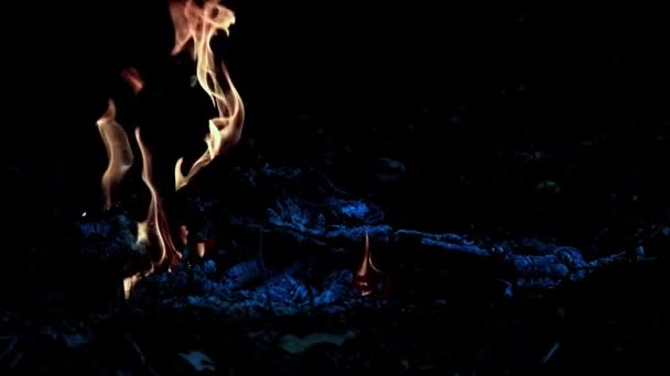 braises et flammes brûlantes d'un feu de forêt 