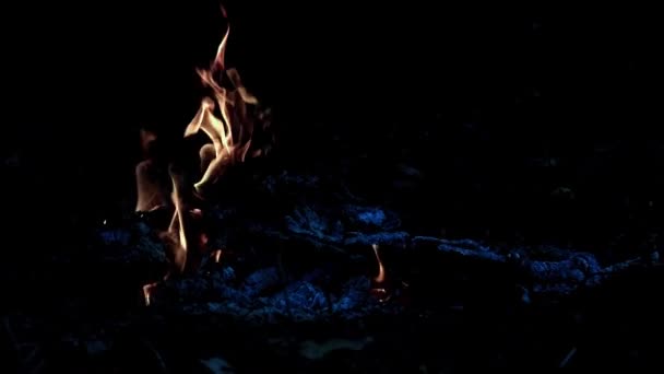 燃烧的余火和森林大火的火焰 — 图库视频影像