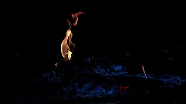 非常に熱い燃え差しおよび森林火災の炎 — ストック動画