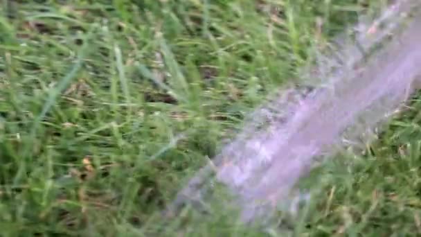 Flusso Acqua Limpida Cade Sull Erba Quando Innaffia Prato — Video Stock