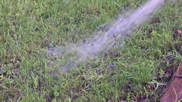 芝生に水をまくとき 草の上明確な水の流れの滝します — ストック動画