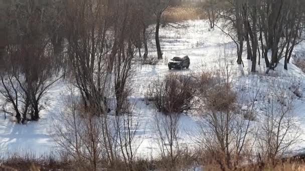 池の近くの森で雪に覆われた道路で車 — ストック動画