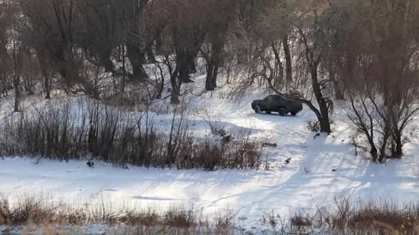 池の近くの森で雪に覆われた道路で車 — ストック動画