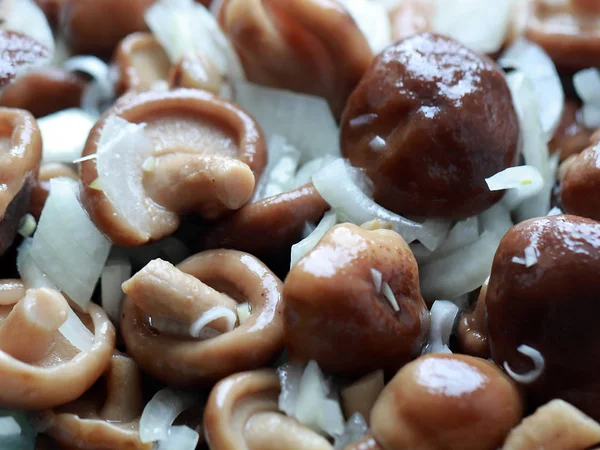 Salted Pickled Mushrooms Wonderful Snack — Stock Photo, Image