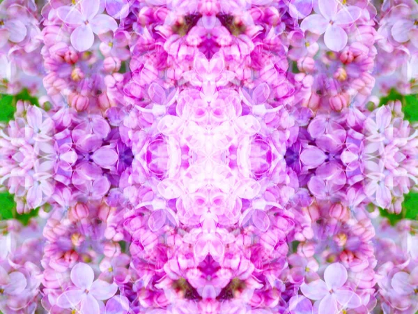 Photograph Abstract Floral Patterns Made Symmetric Mirrors — Stock Photo, Image