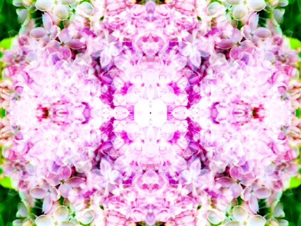 Simetrik Aynalarla Yapılmış Soyut Çiçek Desenleri Fotoğrafı — Stok fotoğraf