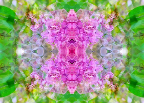 Fotografi Abstrakt Blommönster Med Symmetriska Speglar — Stockfoto