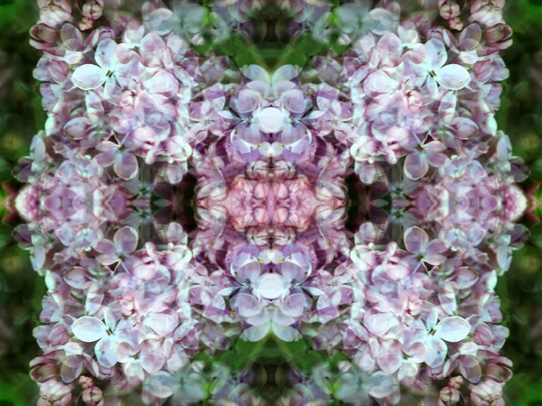 Fotografia Padrões Florais Abstratos Feitos Com Espelhos Simétricos — Fotografia de Stock