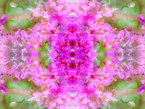 Fotografi Abstrakt Blommönster Med Symmetriska Speglar — Stockfoto
