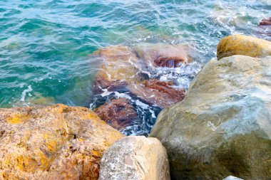 taşlar ve açık deniz suyu doğal plaj