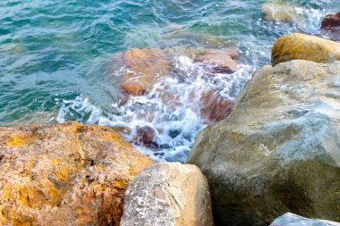 taşlar ve açık deniz suyu doğal plaj