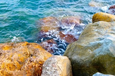 taşlar ve açık deniz suyu doğal plaj