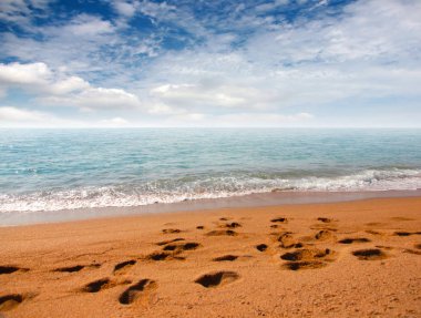 kumlu plaj ve bulutlu gökyüzü ufukta