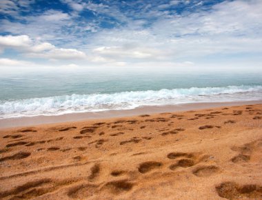 kumlu plaj ve bulutlu gökyüzü ufukta