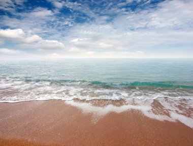 kumlu plaj ve bulutlu gökyüzü ufukta